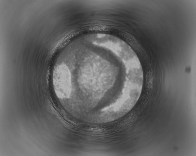 X0000115180735200912091046