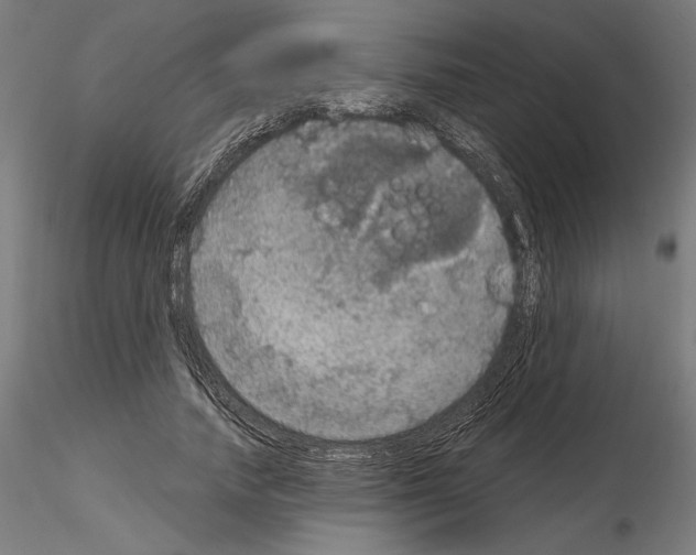 X0000115180738200912091046