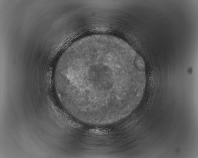 X0000115180739200912091046