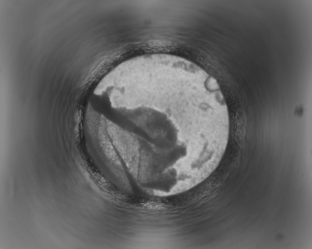 X0000115180742200912091046