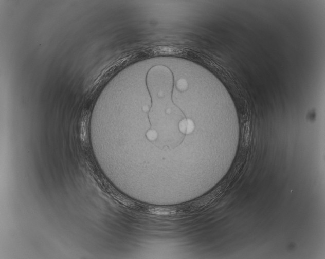 X0000115180746200912091046