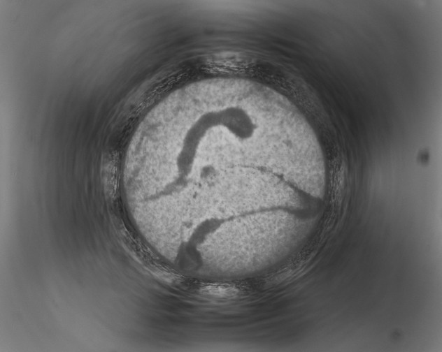 X0000115180749200912091046