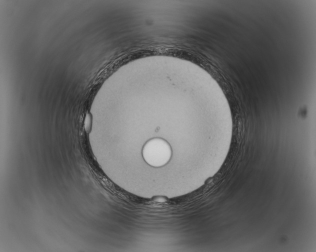 X0000115180750200912091046