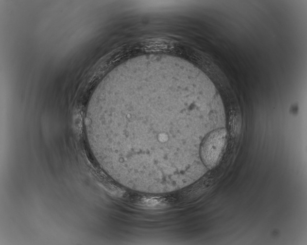 X0000115180753200912091047