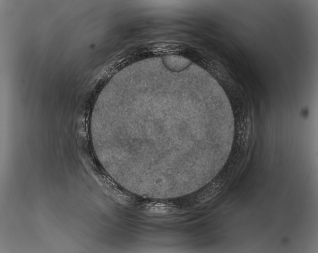 X0000115180755200912091047