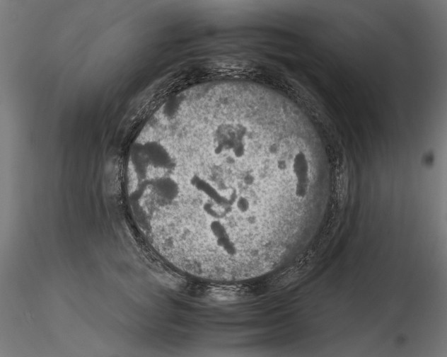 X0000115180757200912091047