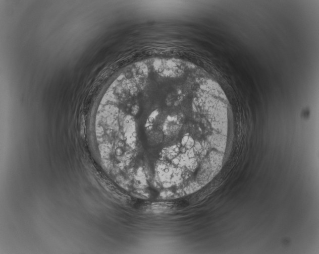 X0000115180758200912091047