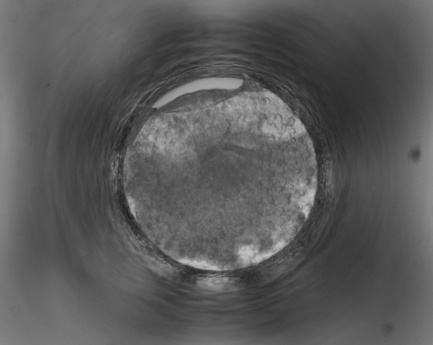 X0000115180759200912091047