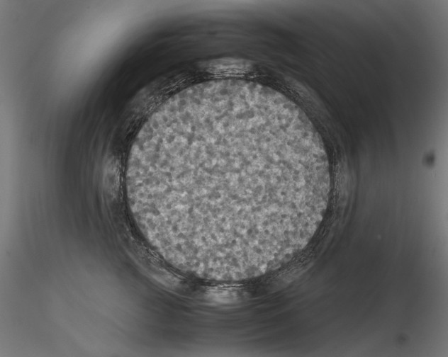 X0000115180761200912091047