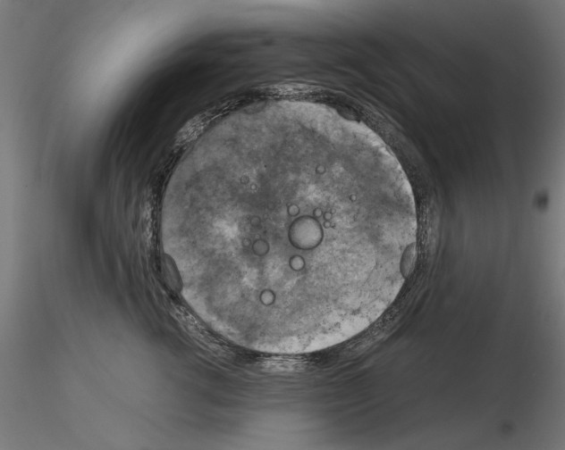 X0000115180762200912091047