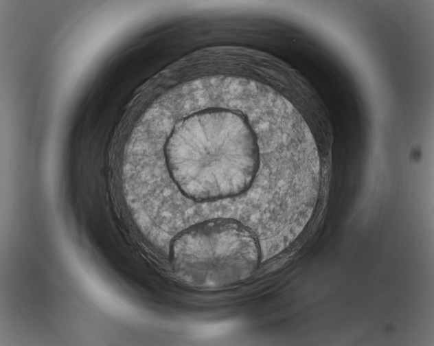 X0000115180765200912091047