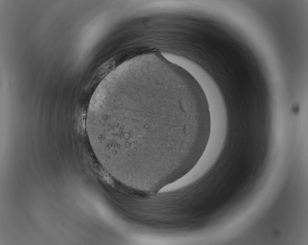 X0000115180766200912091047