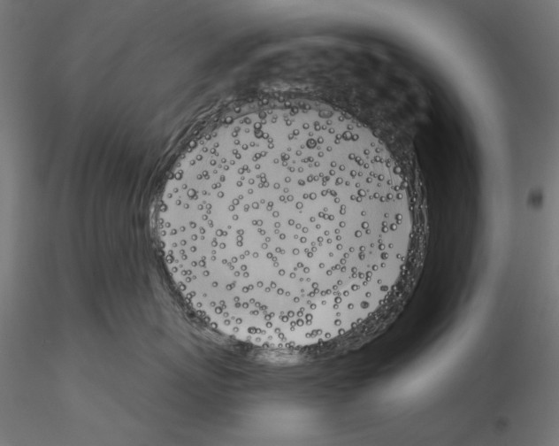 X0000115180767200912091047