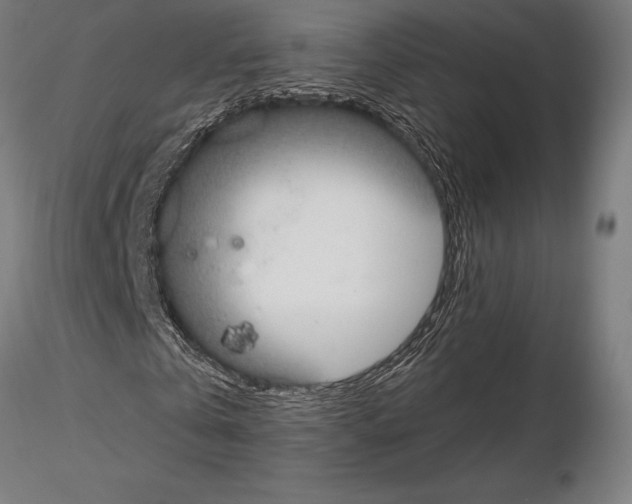 X0000115180769200912091046