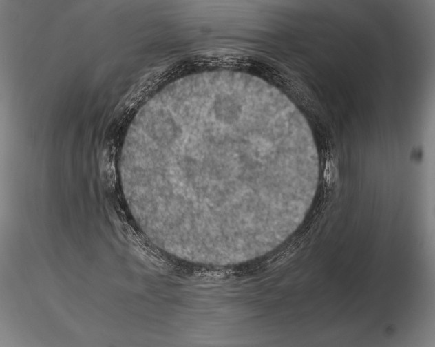 X0000115180771200912091046