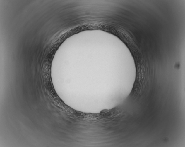 X0000115180773200912091046