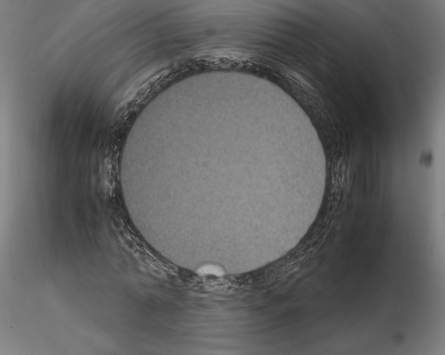 X0000115180774200912091046