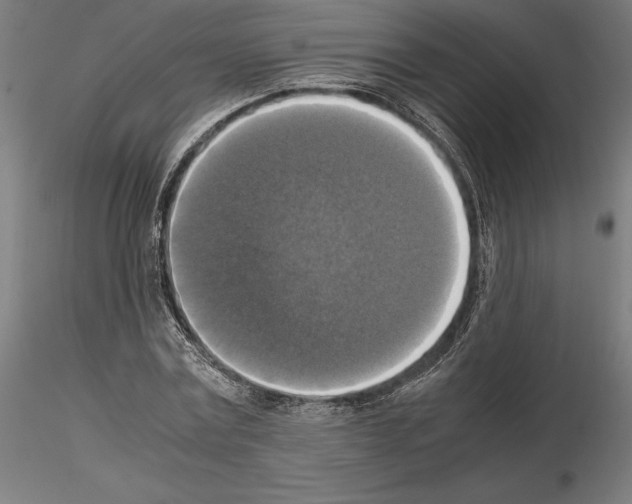 X0000115180779200912091046