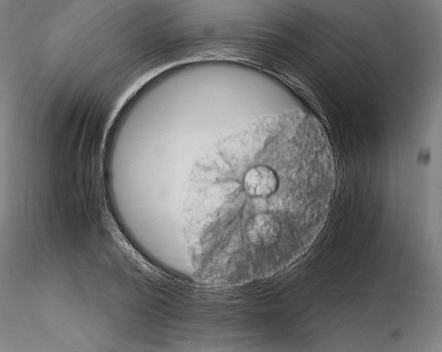 X0000115180784200912091046