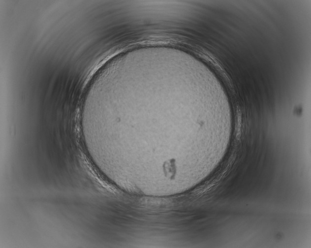 X0000115180786200912091046