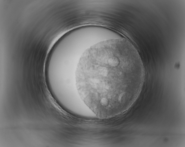X0000115180788200912091046