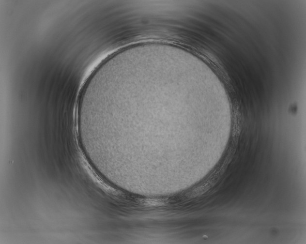 X0000115180796200912091046