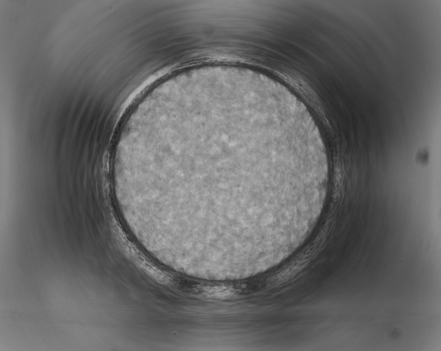 X0000115180798200912091046