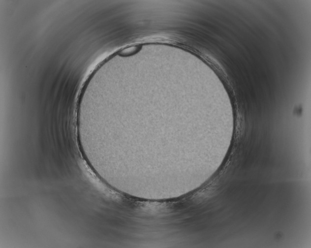 X0000115180800200912091046