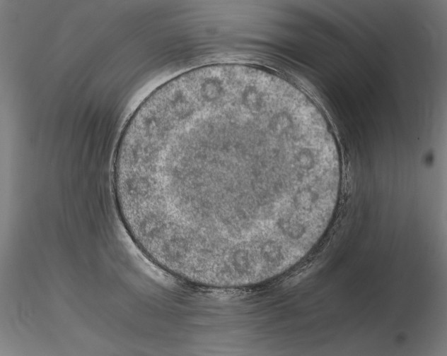 X0000115180803200912091045