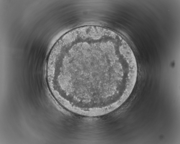 X0000115180804200912091045