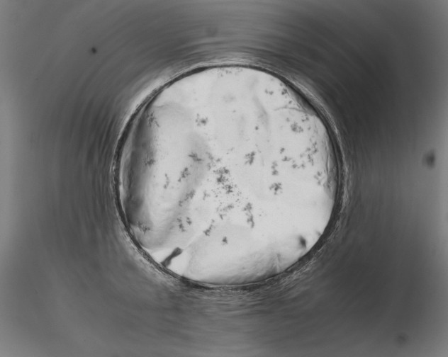X0000115180805200912091045