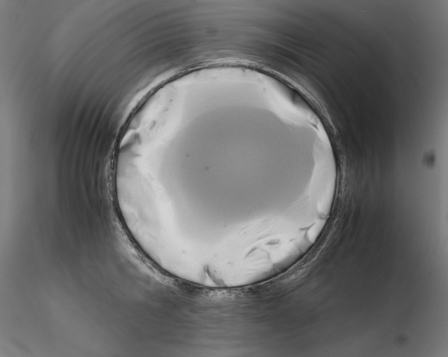 X0000115180806200912091045
