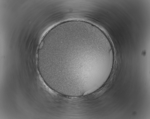 X0000115180807200912091045