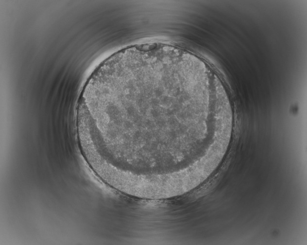 X0000115180808200912091045