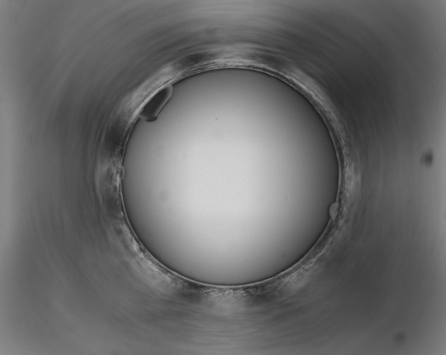 X0000115180809200912091045