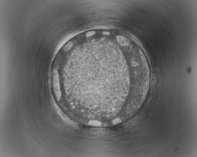 X0000115180811200912091045
