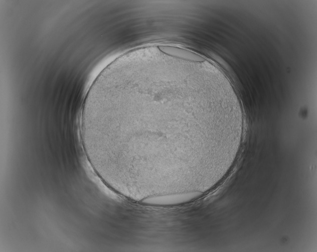 X0000115180812200912091045