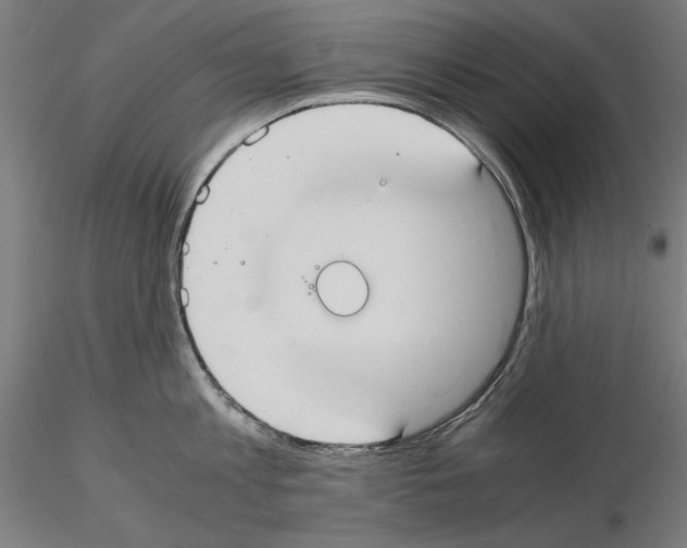X0000115180813200912091045