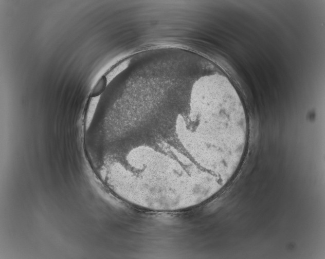 X0000115180814200912091045