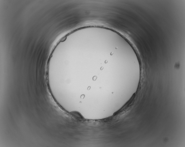 X0000115180815200912091045