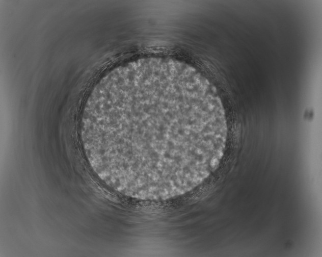 X0000115180817200912091045
