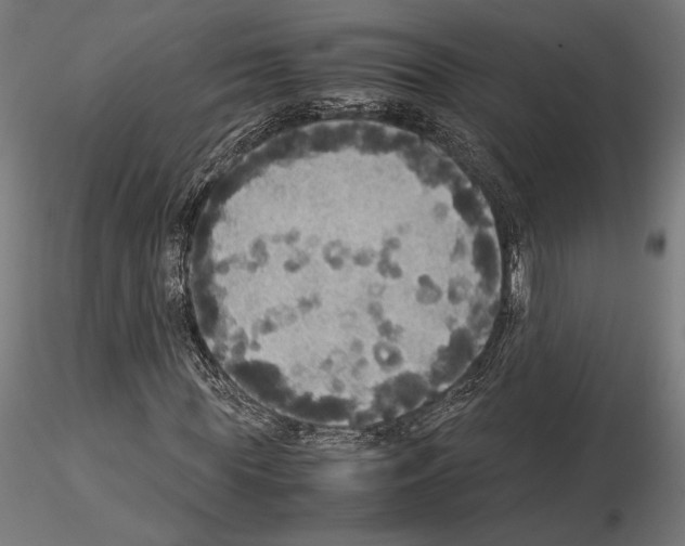 X0000115180819200912091045