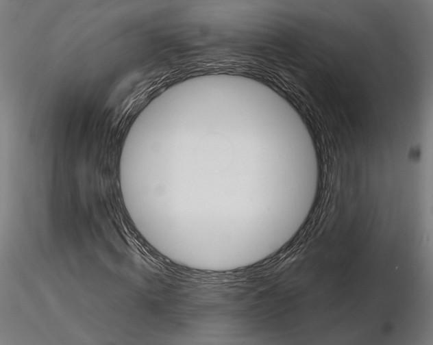 X0000115180820200912091045