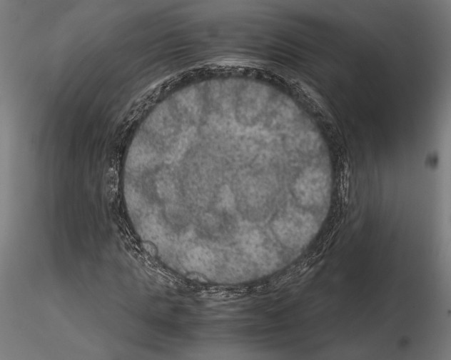 X0000115180821200912091045