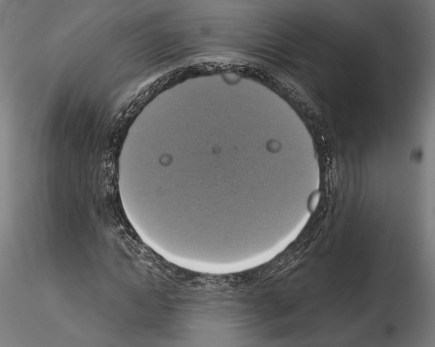 X0000115180822200912091045