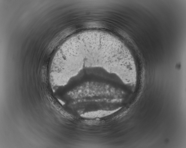 X0000115180825200912091045