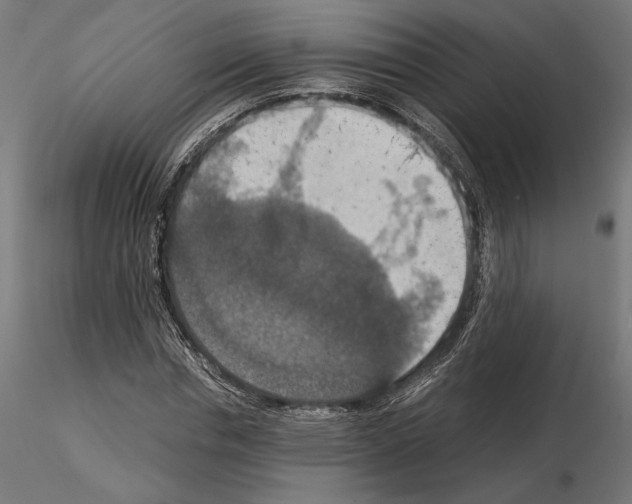 X0000115180826200912091045