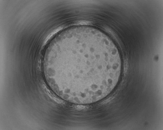 X0000115180827200912091045