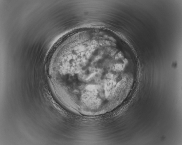 X0000115180830200912091045