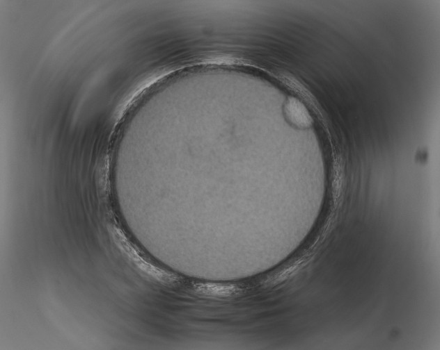X0000115180831200912091045